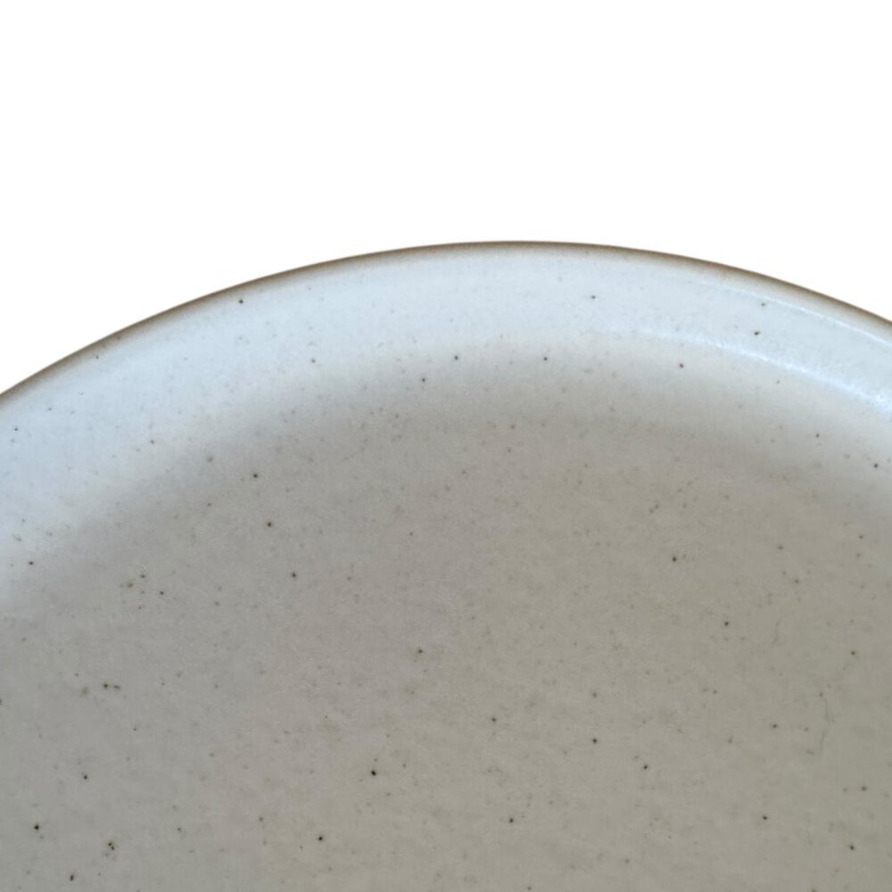 Casafina Ceramic Stoneware 10.5 Dinner Plate Pacifica Collection Vanilla Speckle - Picture 7 of 13